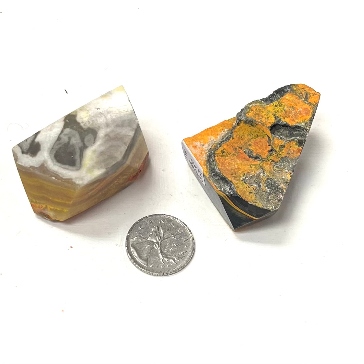 Semi-Polished Bumblebee Jasper Pieces