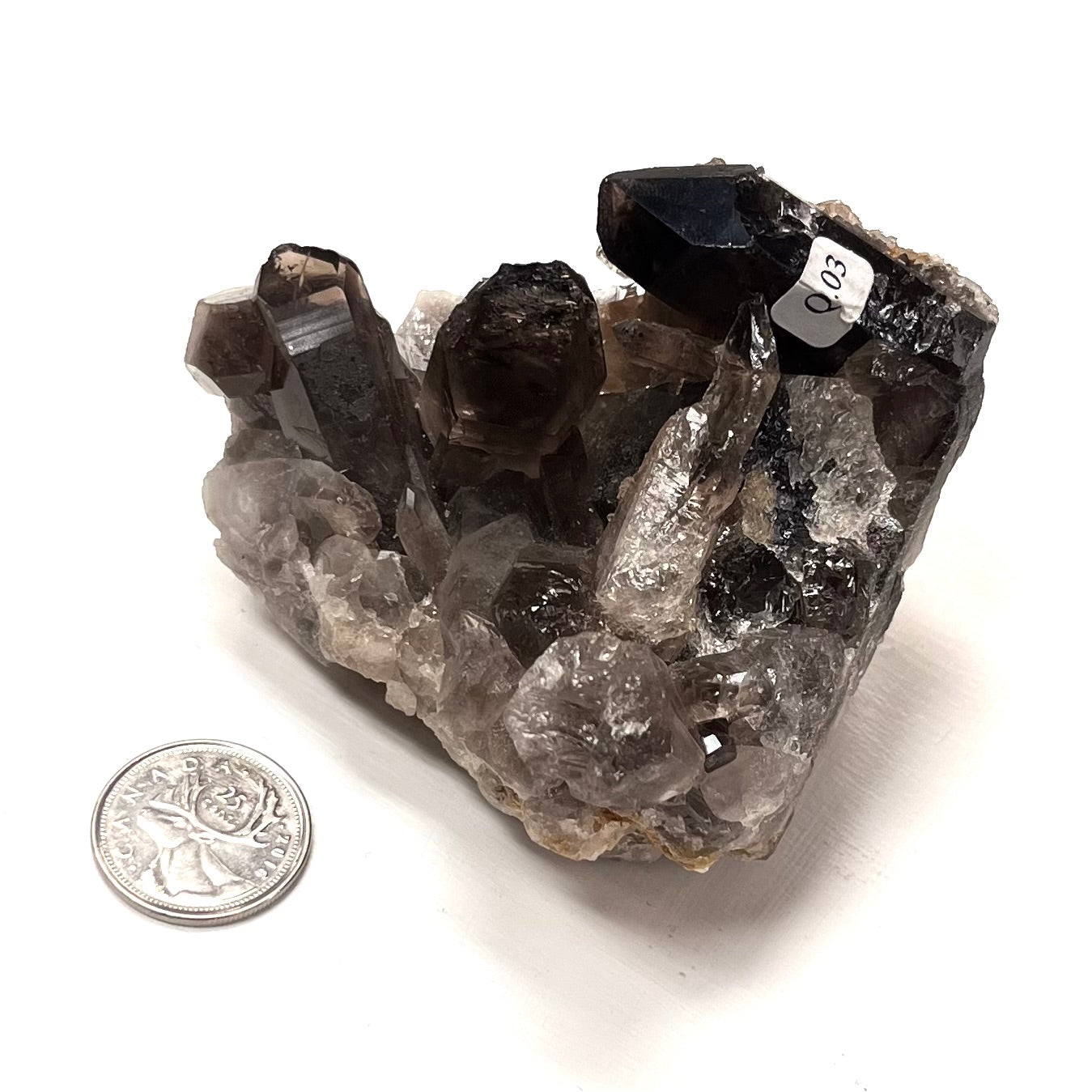 Smoky Quartz Cluster 310g