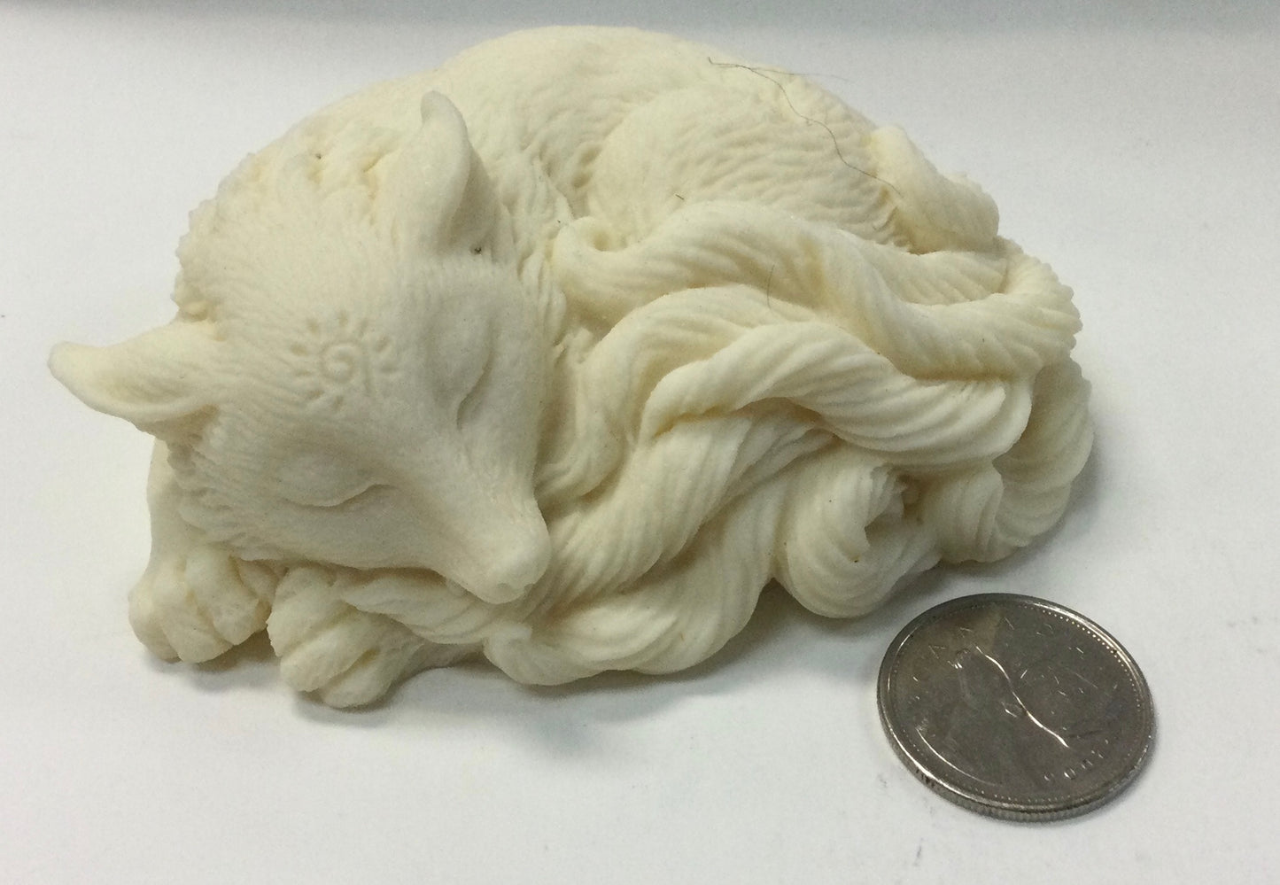 Tagua Nut Fox