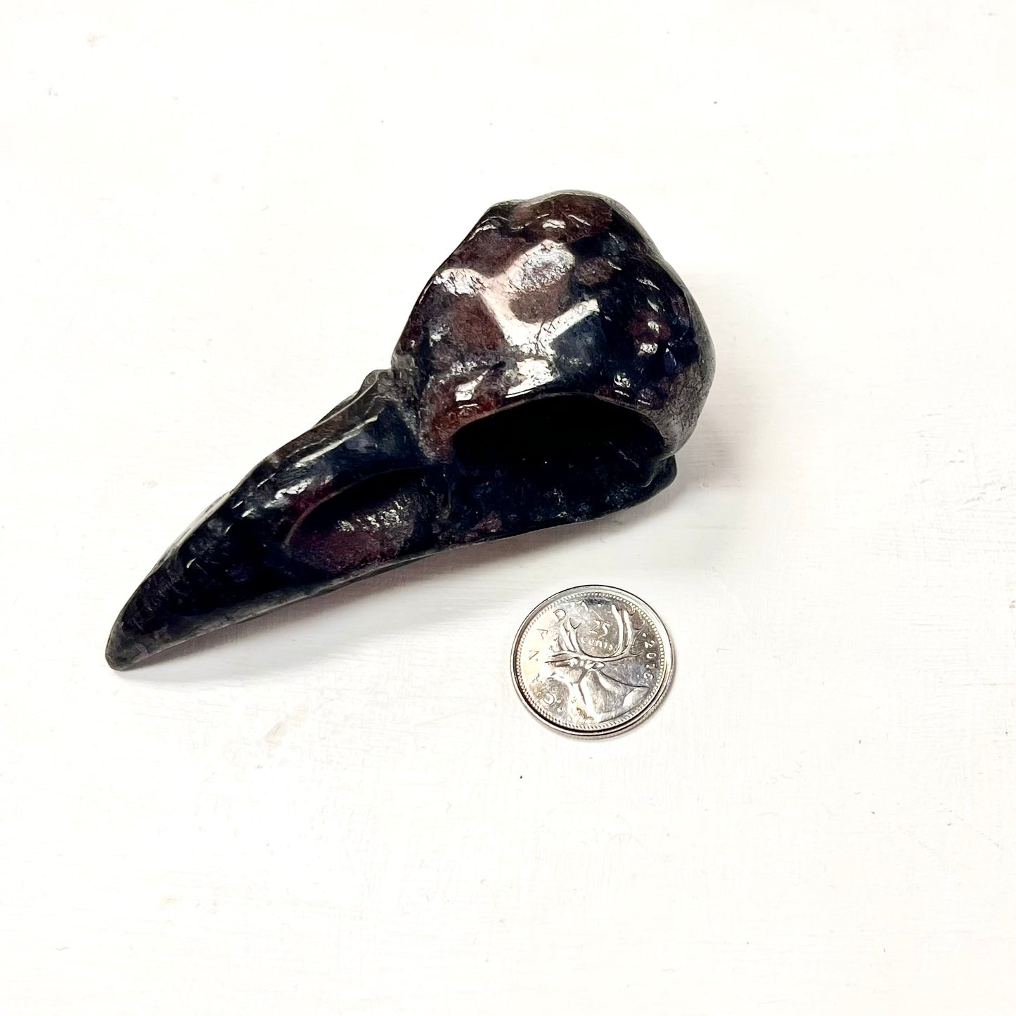 “Firework” Raven Skull