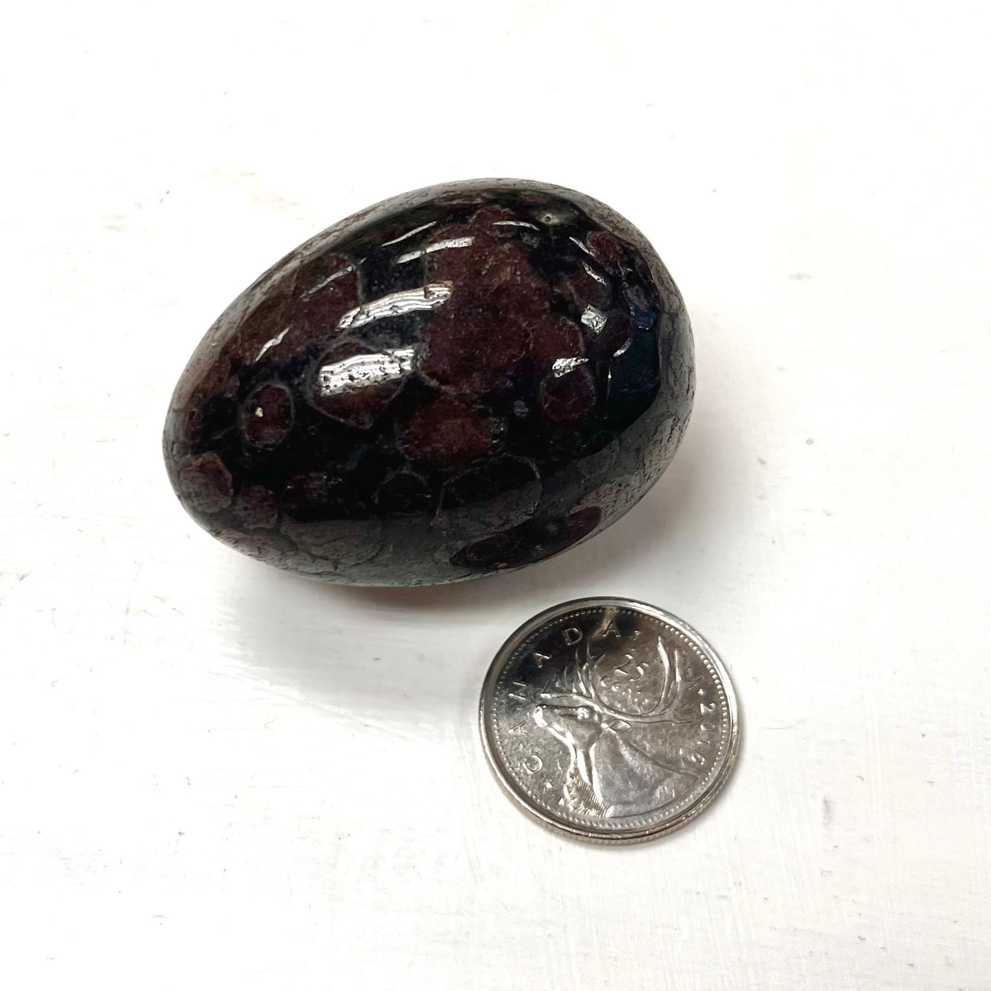 "Firework" Egg (Astrophyllite & Garnet)