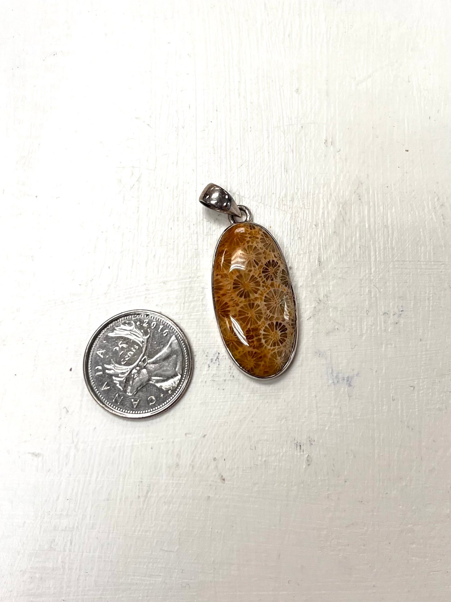 Agatized Coral Oval Pendant Set In Silver