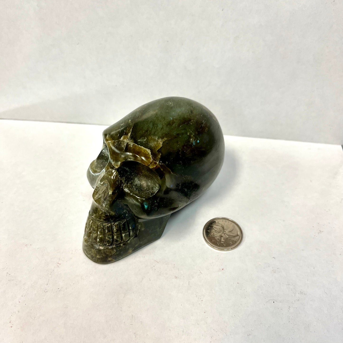 Large Labradorite Skull