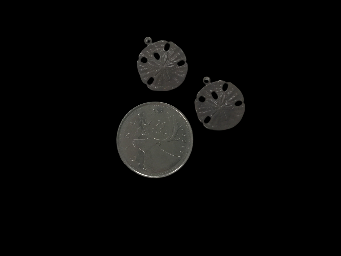 Natural Brass Sand Dollar Charm