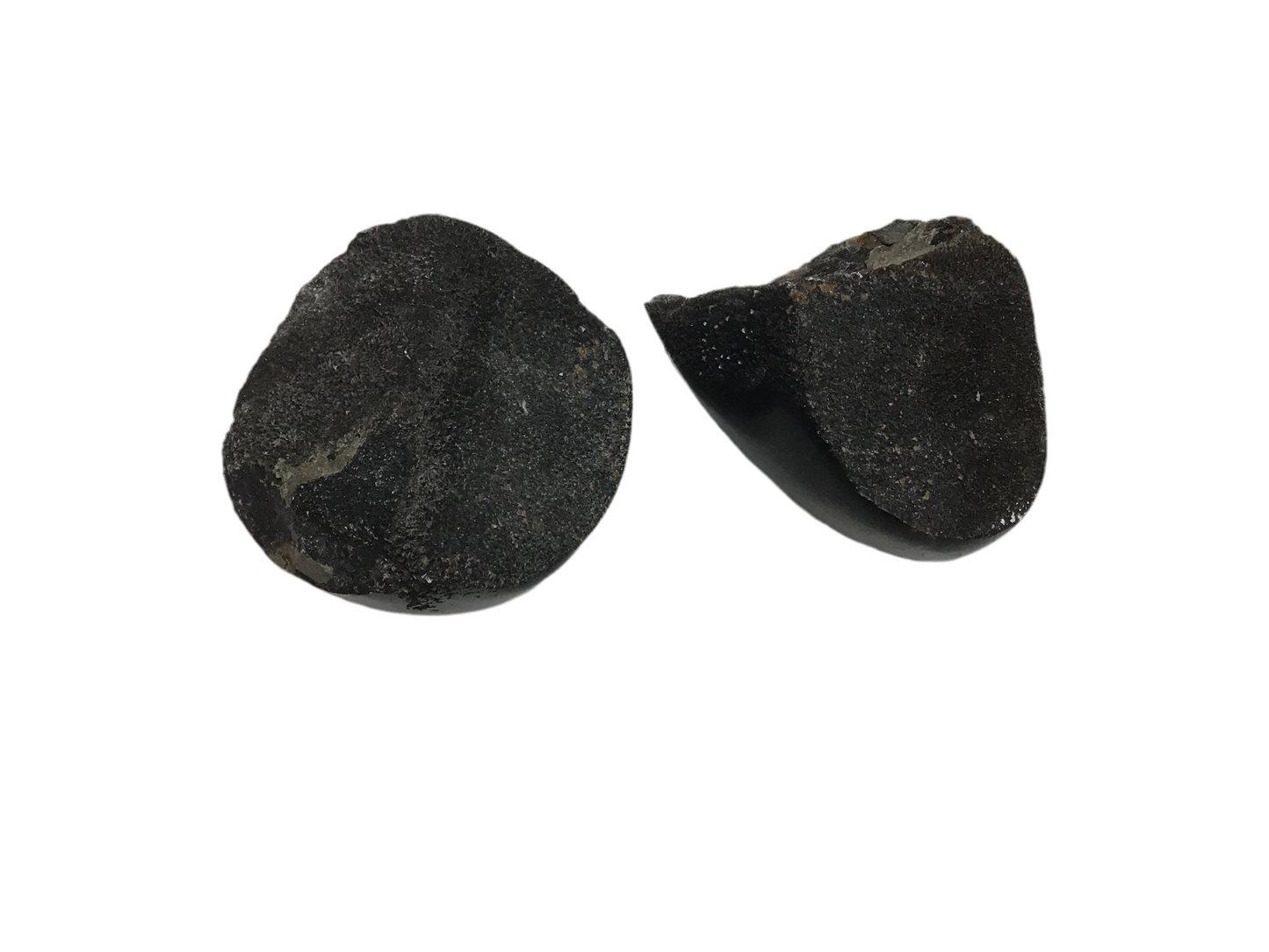 Septarian Nodule