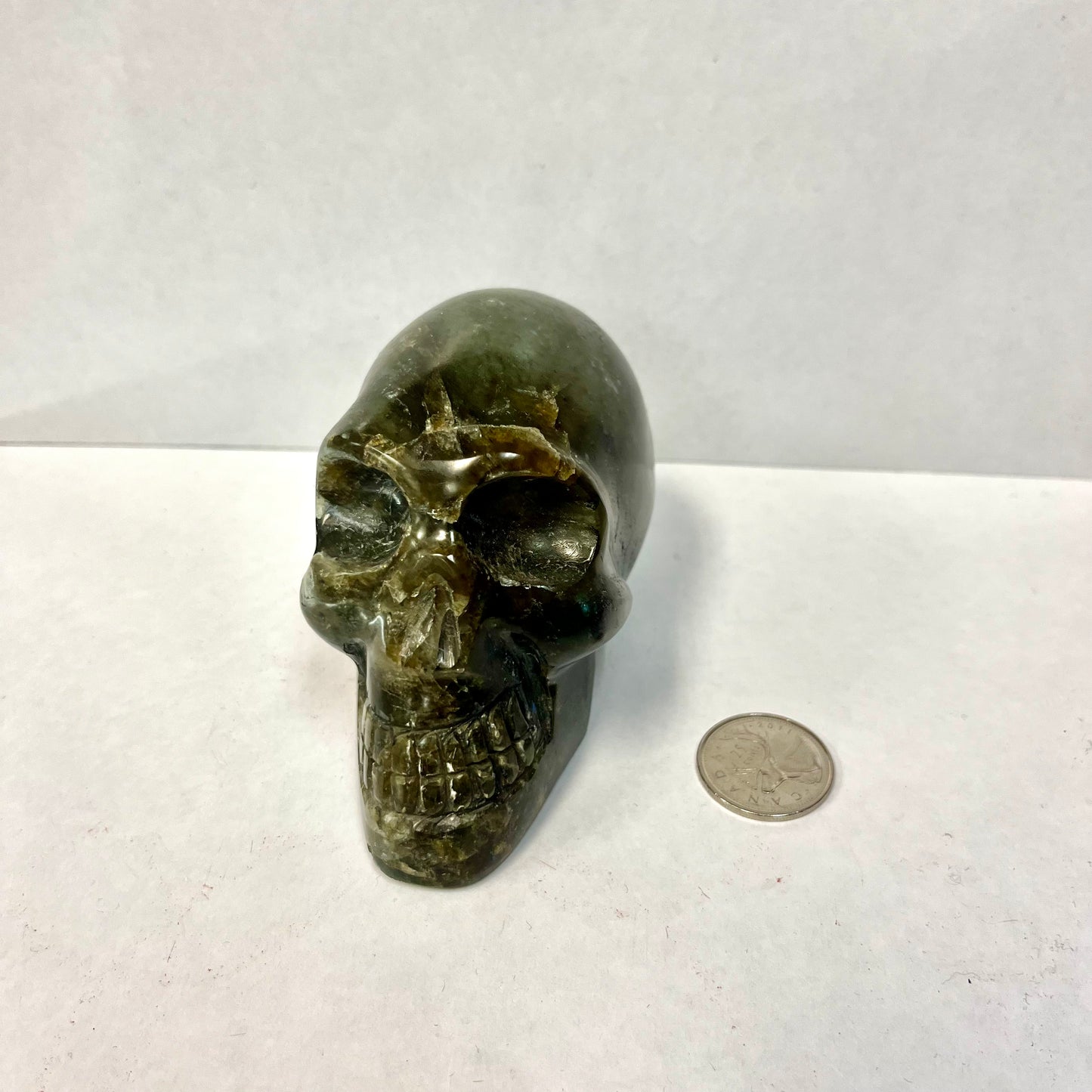 Large Labradorite Skull