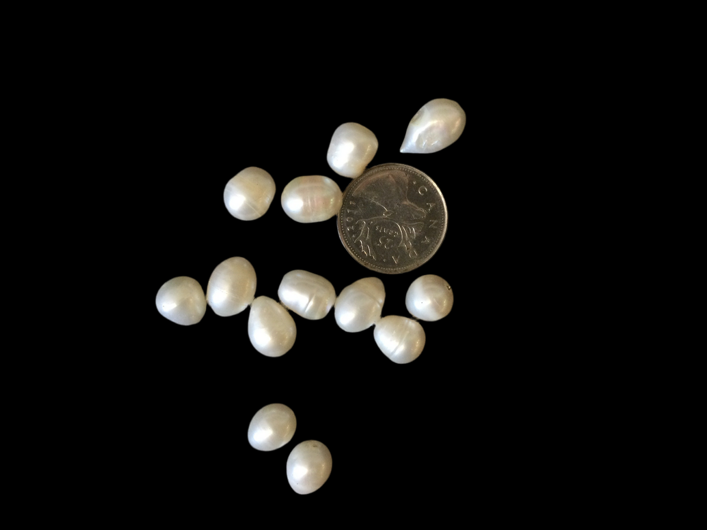 8-10mm Mother of Pearl Bead