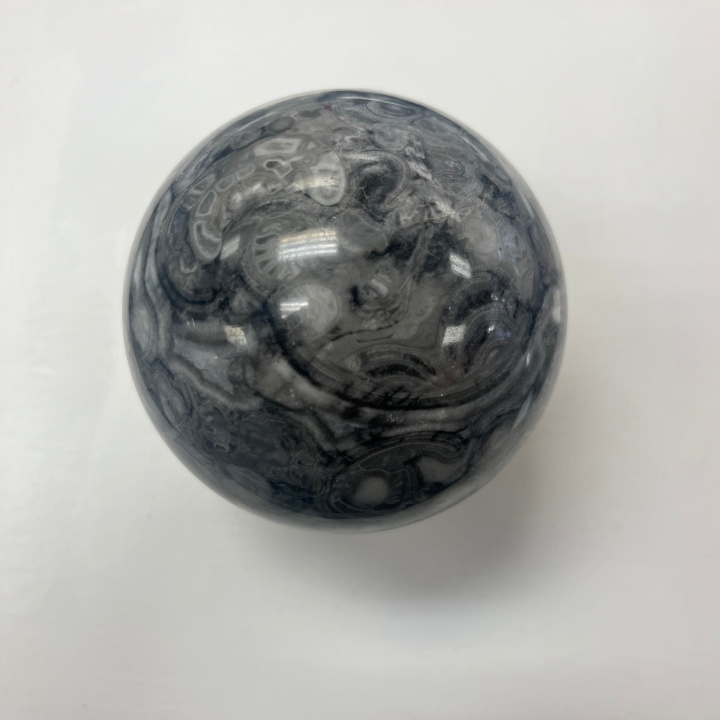 Fossil Agate Sphere Ammonite Inclusions