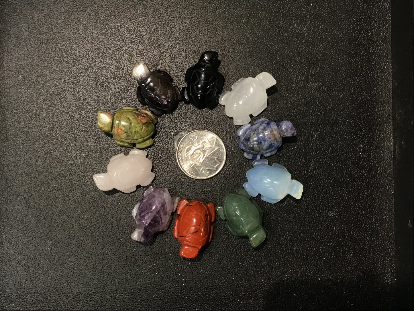 Small Turtle