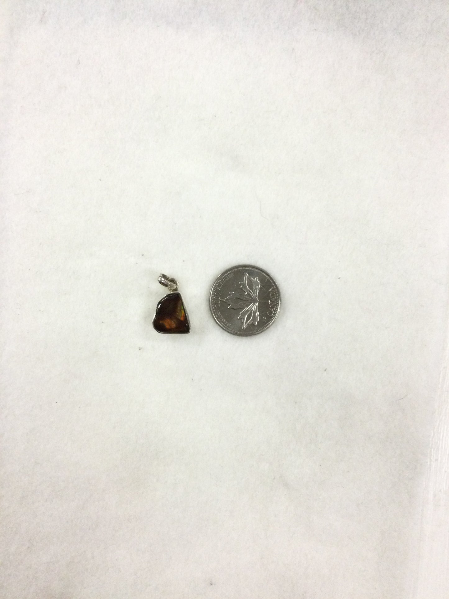 Ammolite Pendant