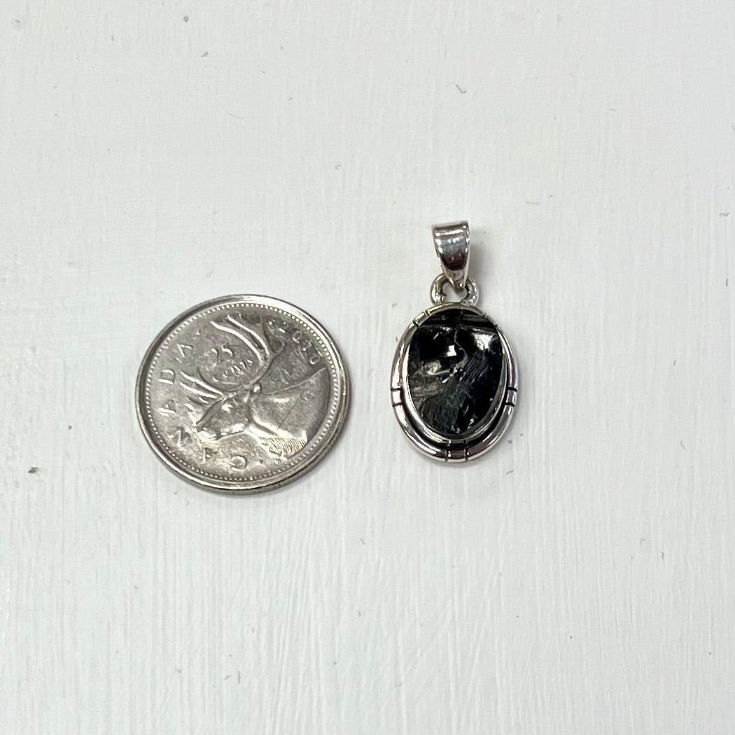 Rough Shungite pendants in Silver