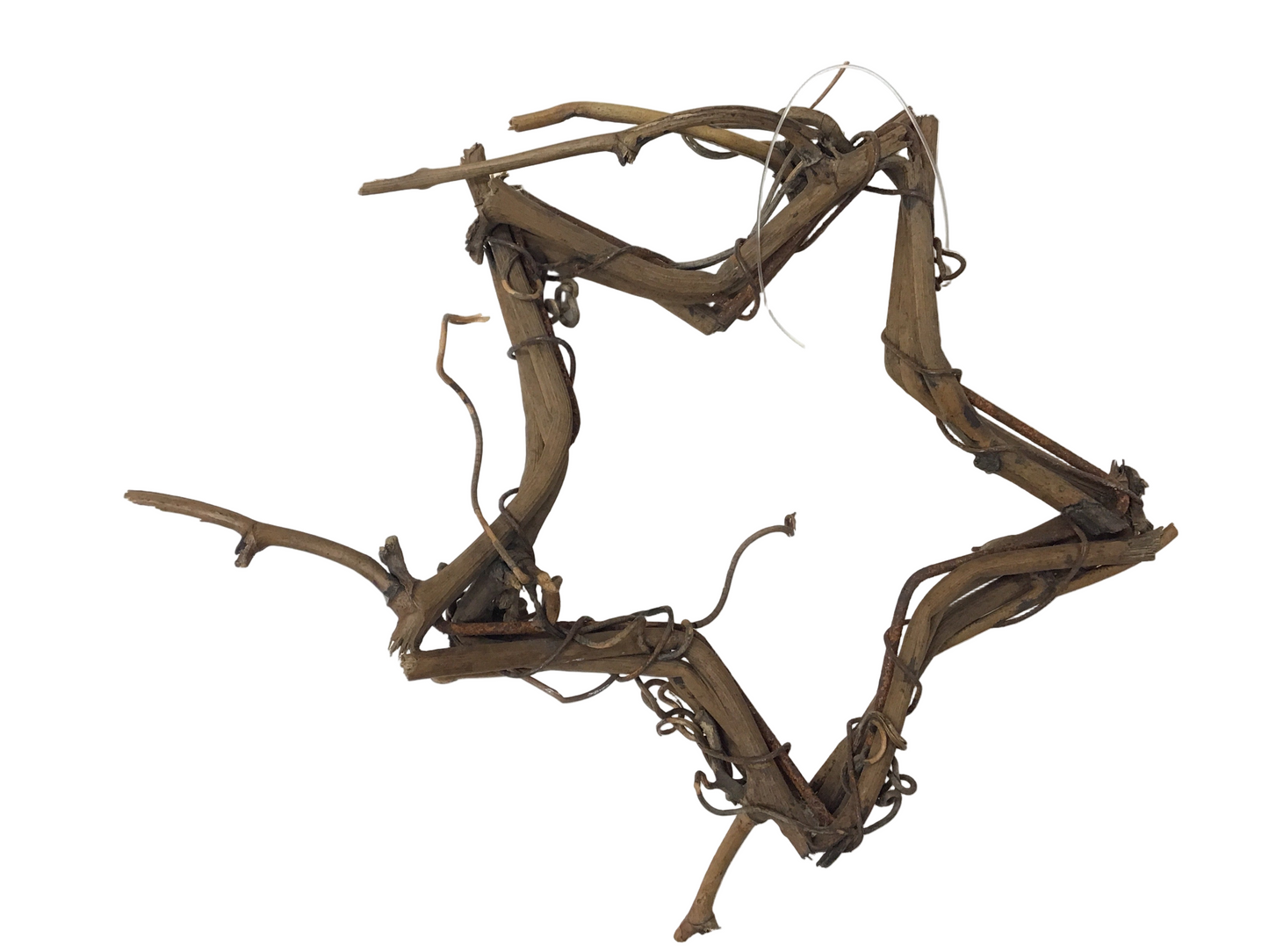 Tiny Branch Star