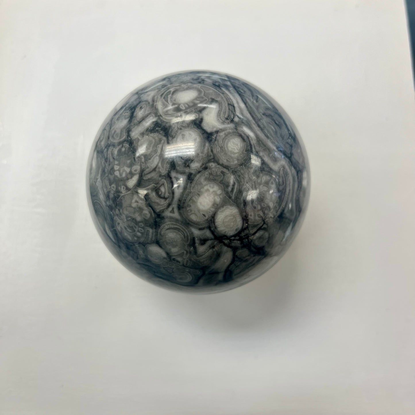 Fossil Agate Sphere Ammonite Inclusions