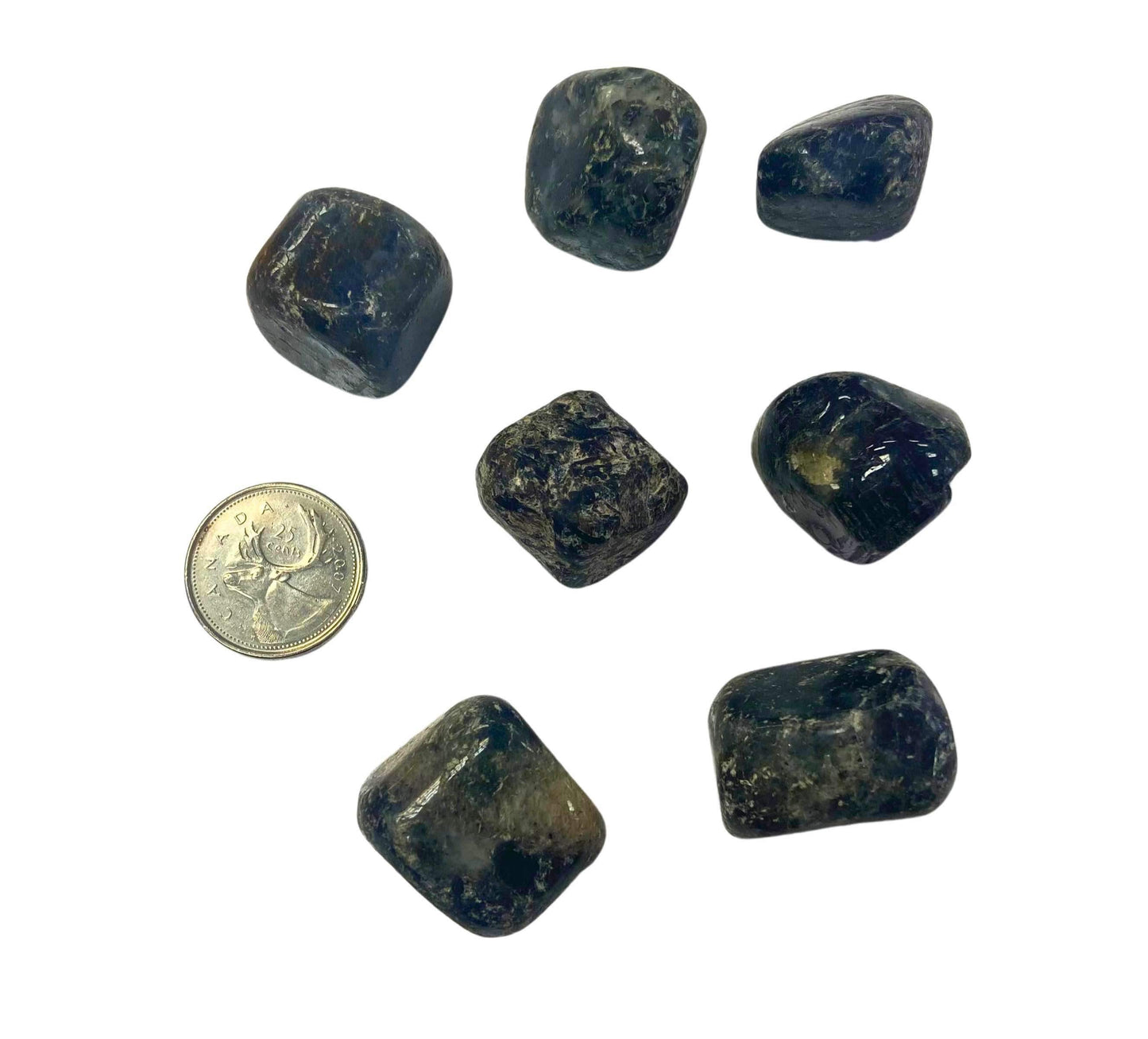 Tumbled Iolite in Matrix