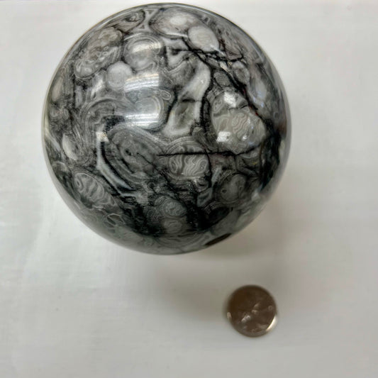 Fossil Agate Sphere Ammonite Inclusions