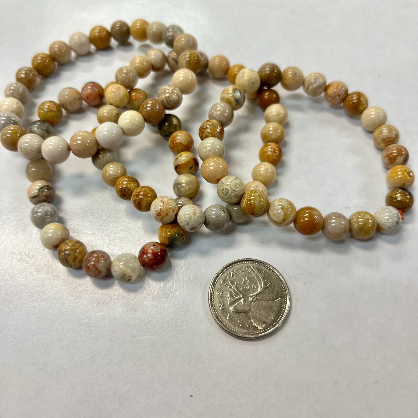 Agatized Coral Bracelet 8mm