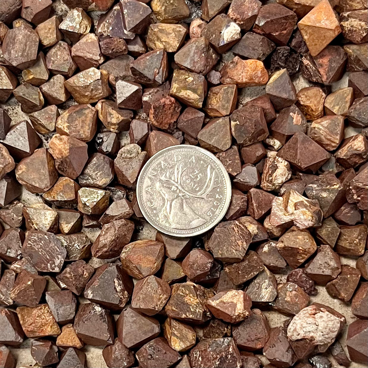 Small Lodestone/Magnetite Octahedrons