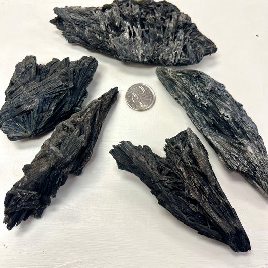 Large Rough Black Kyanite