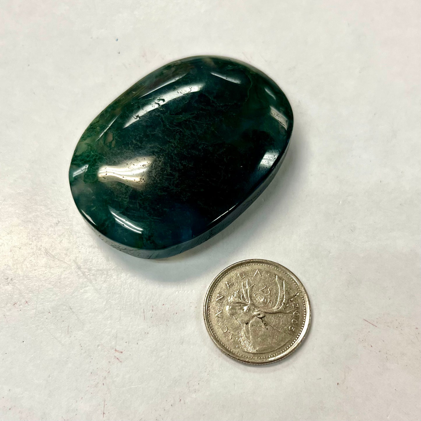 Moss Agate Palm Stone