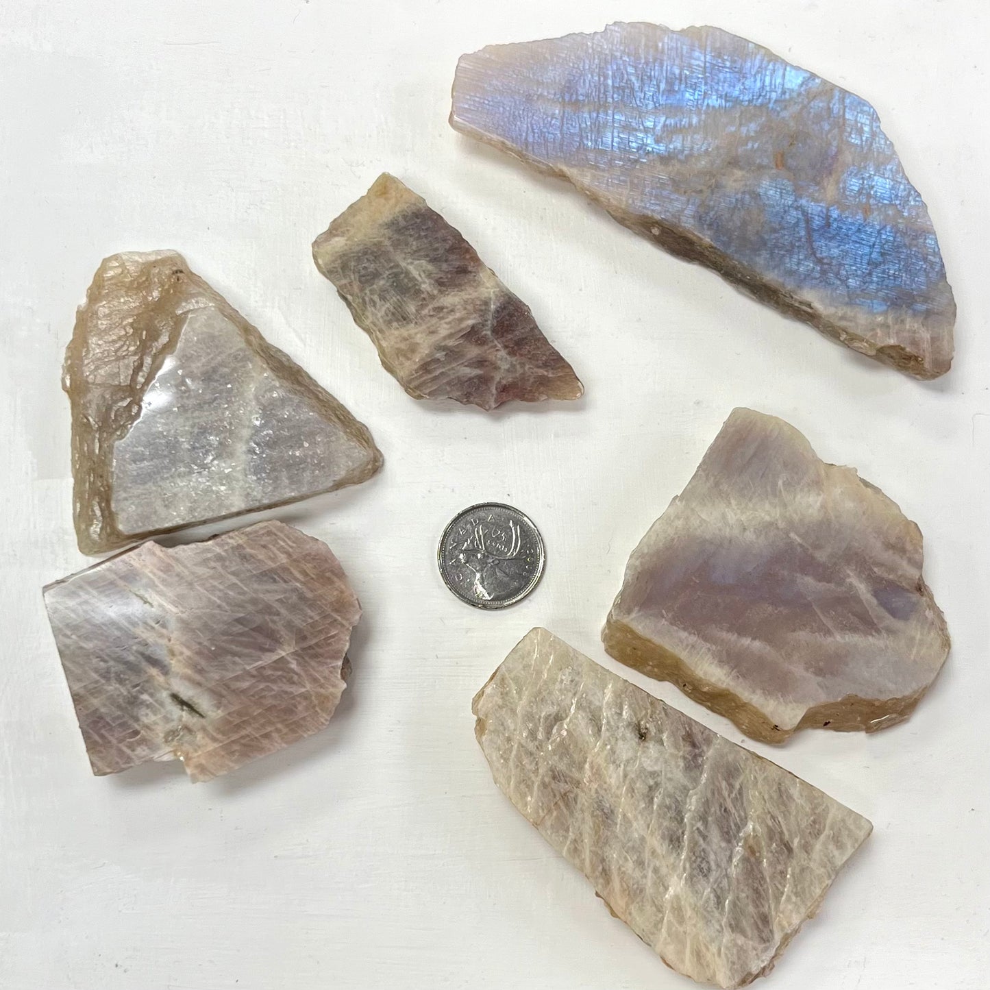 Rough Moonstone Slabs - Blue Flash