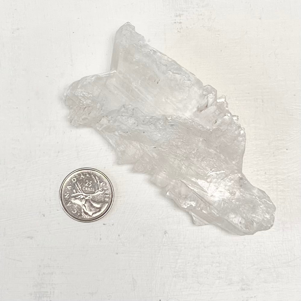 Fish Tail Selenite