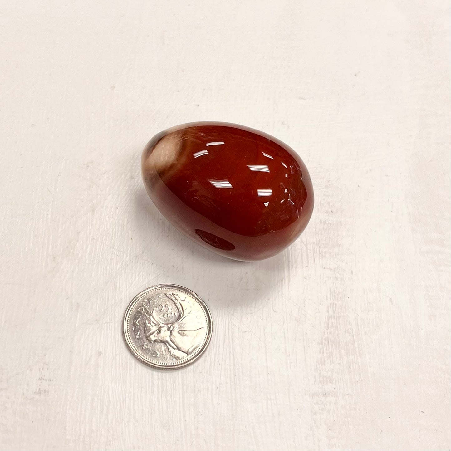 Orange Banded Agate Egg