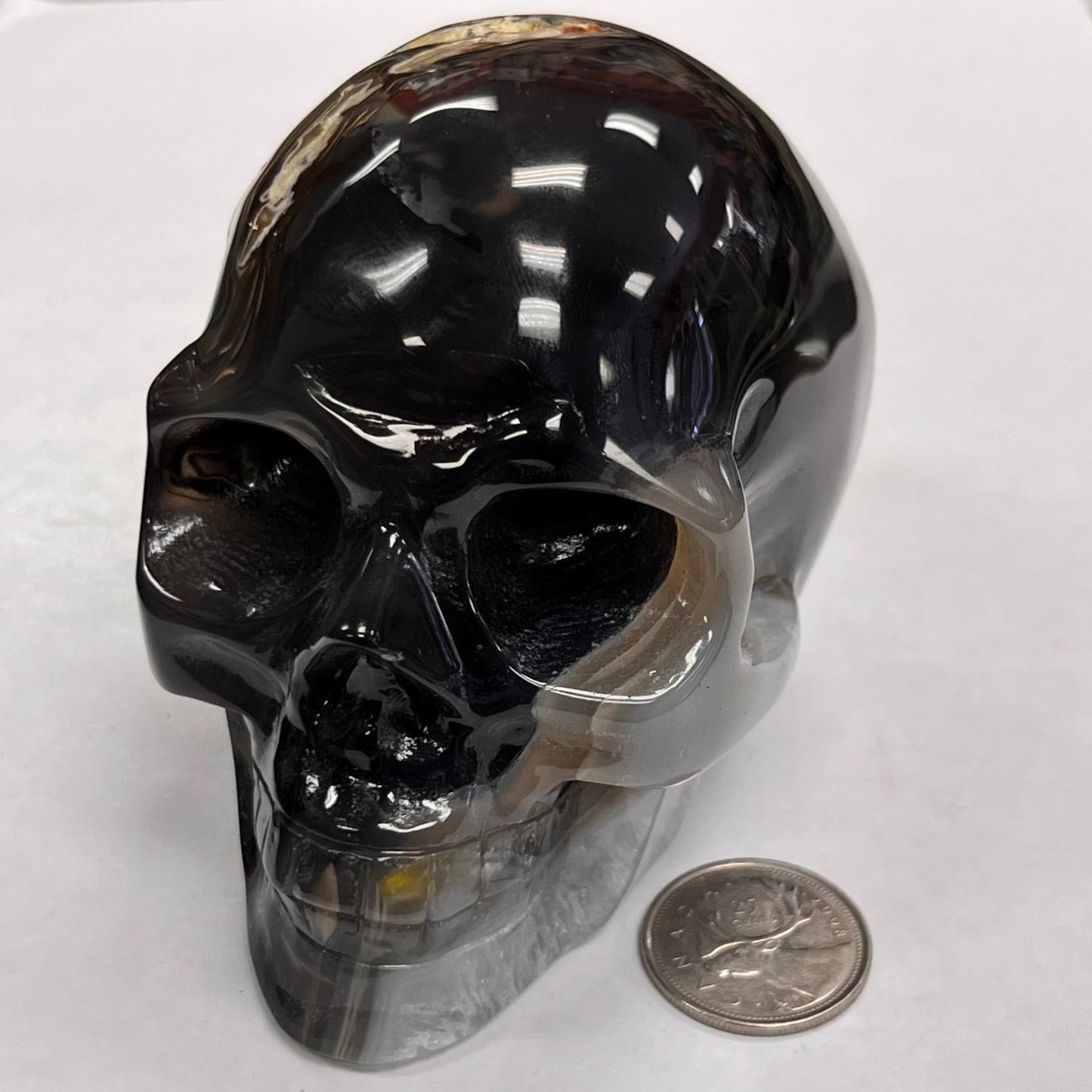 Black skull-shaped object next to a coin on a white background