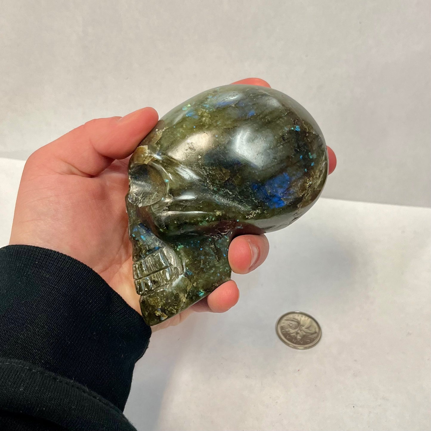 Large Labradorite Skull