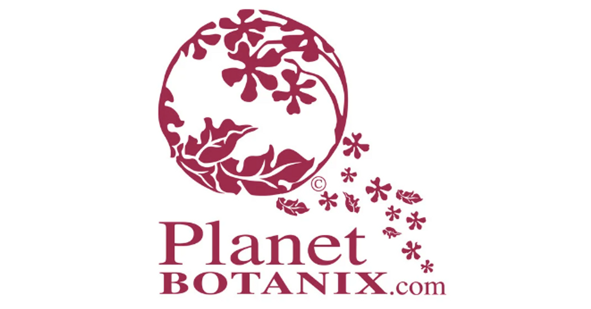 4” Glass Jar Beeswax Candle Botanix Ottawa