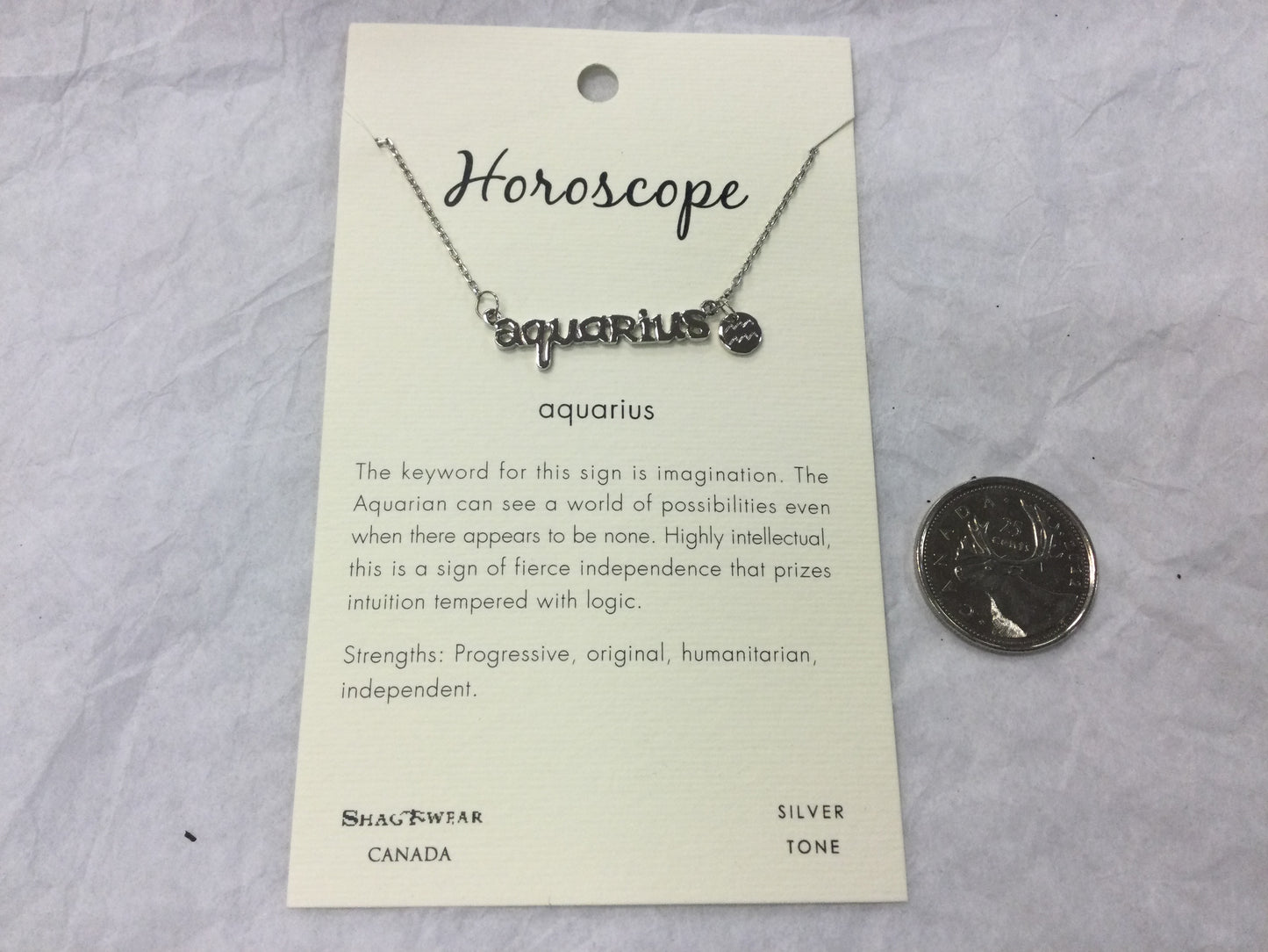 Silver Tone Horoscope Charm Necklaces