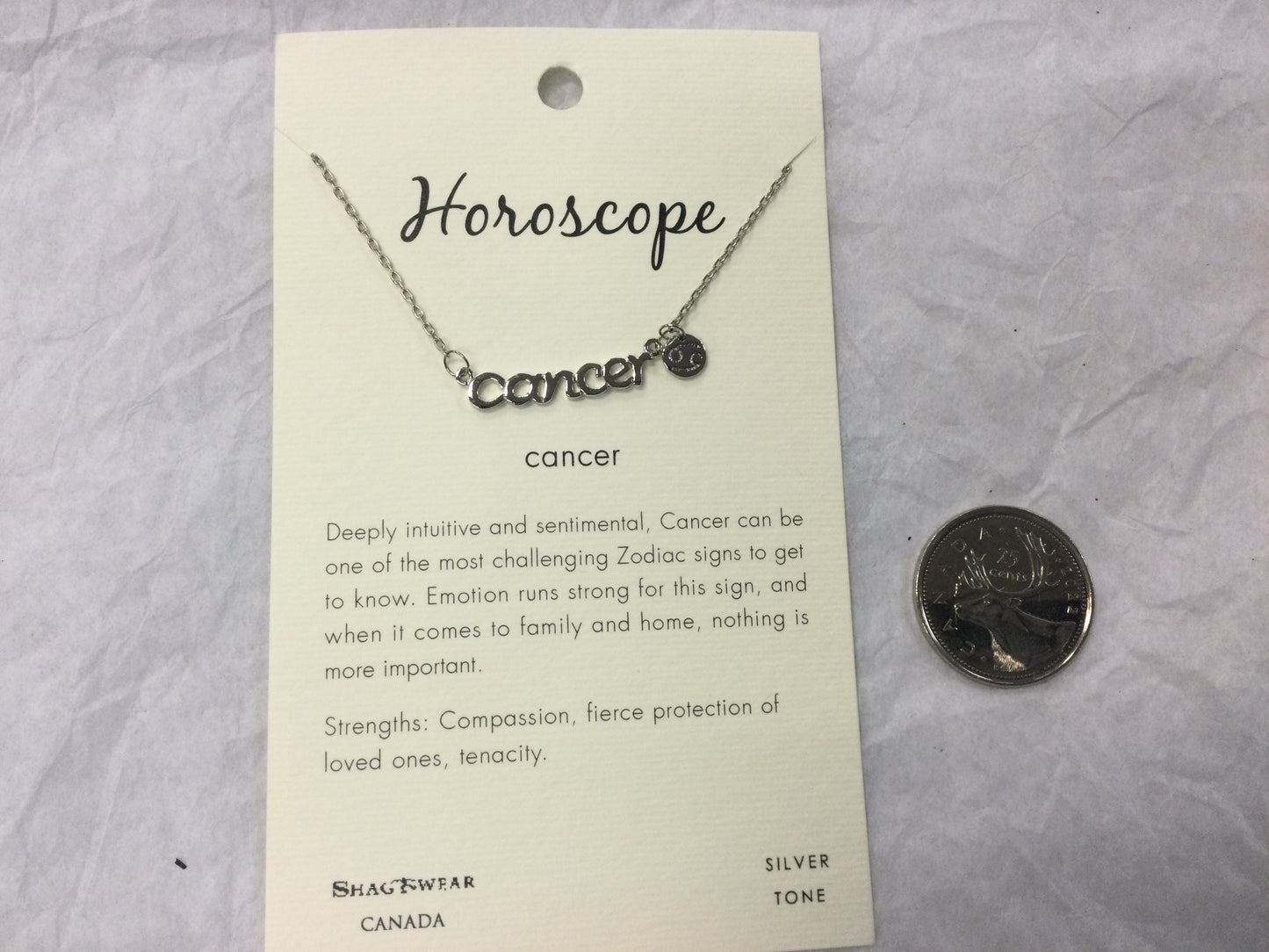 Silver Tone Horoscope Charm Necklaces