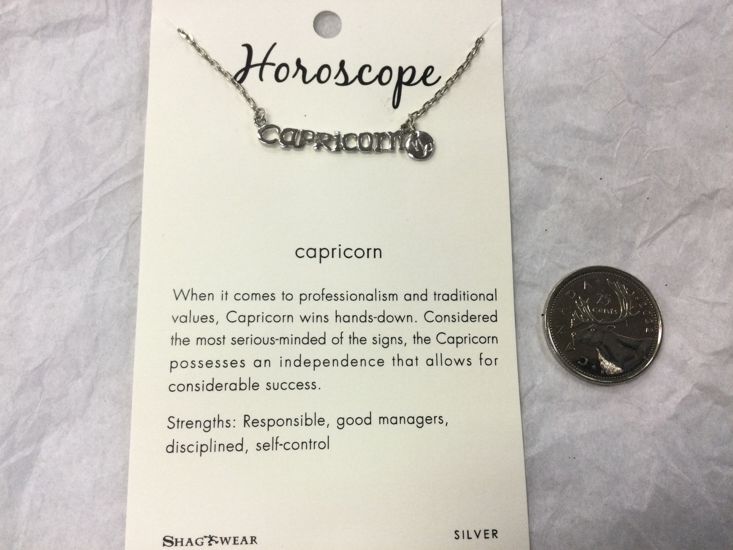 Silver Tone Horoscope Charm Necklaces