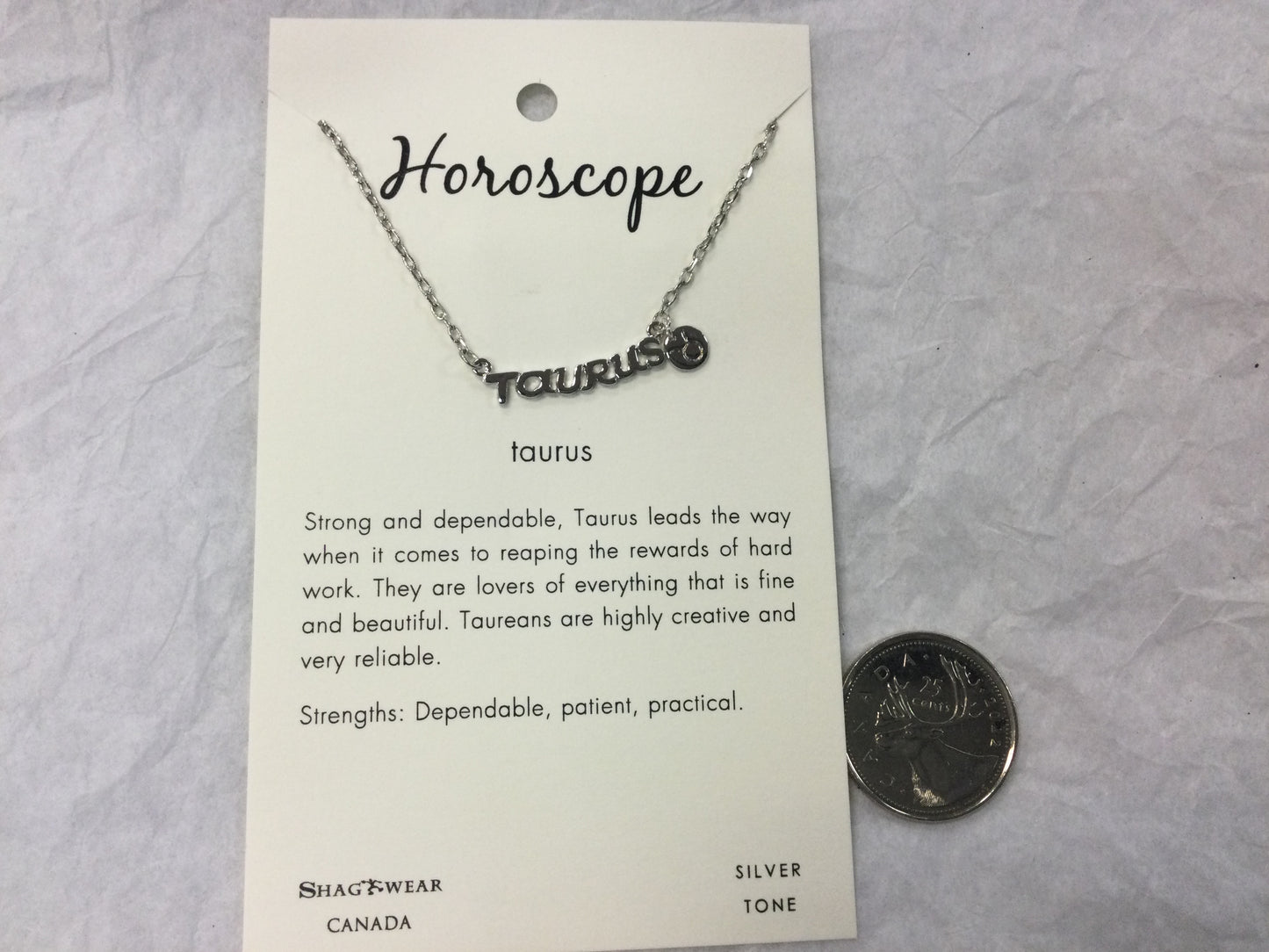 Silver Tone Horoscope Charm Necklaces