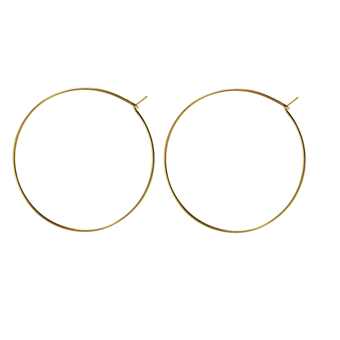 Gold-Plated Hoop Earrings