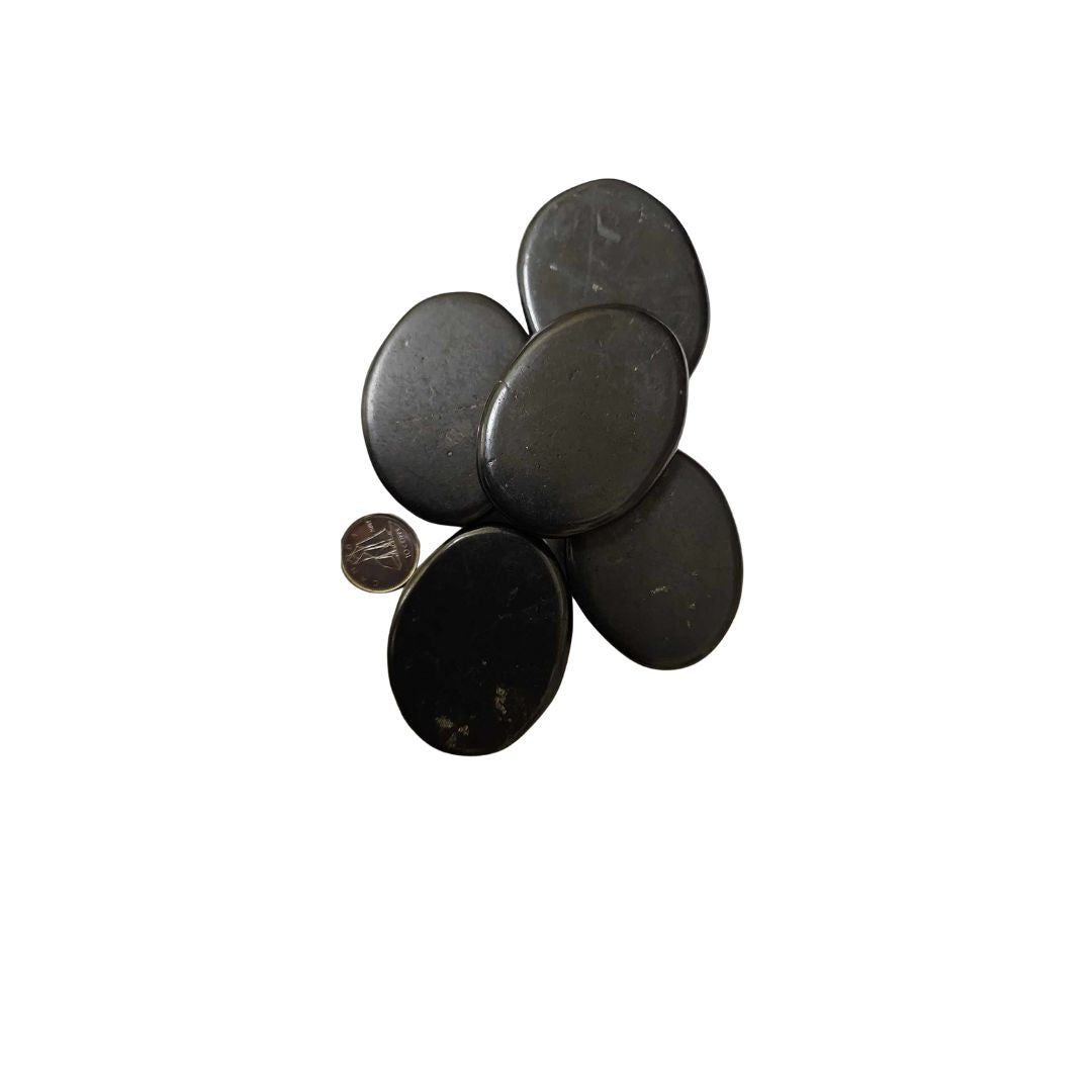 Shungite Medium Oblong Disc