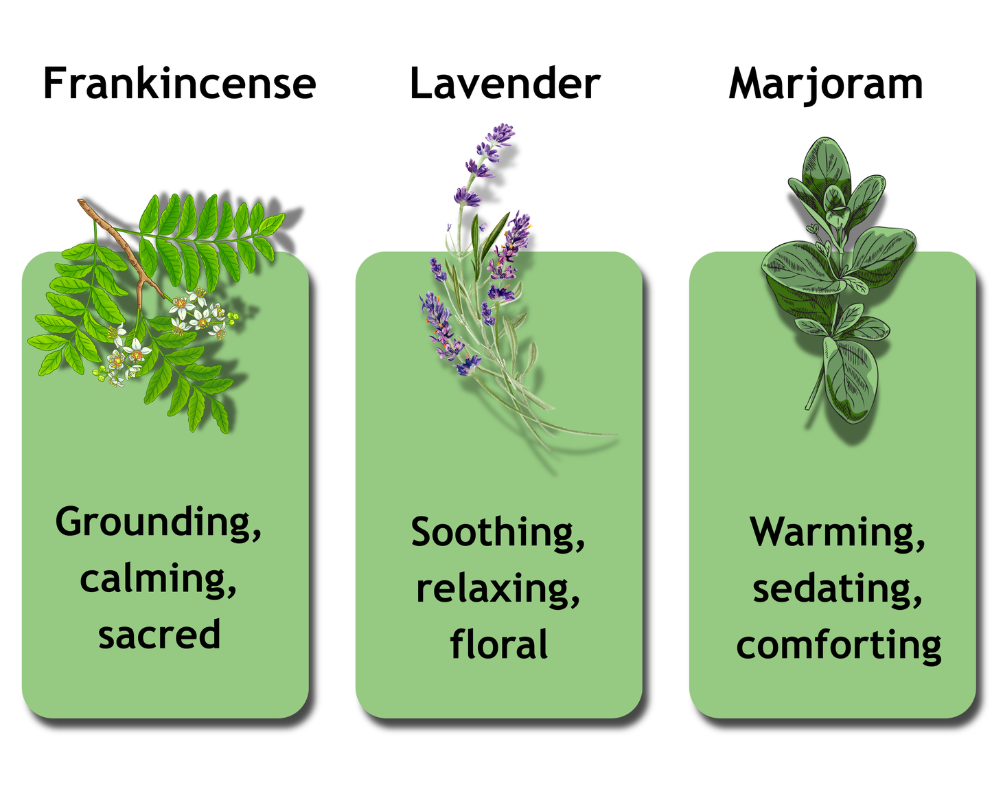 Essential Oil Bundle – Sleep | 3 x 12ml