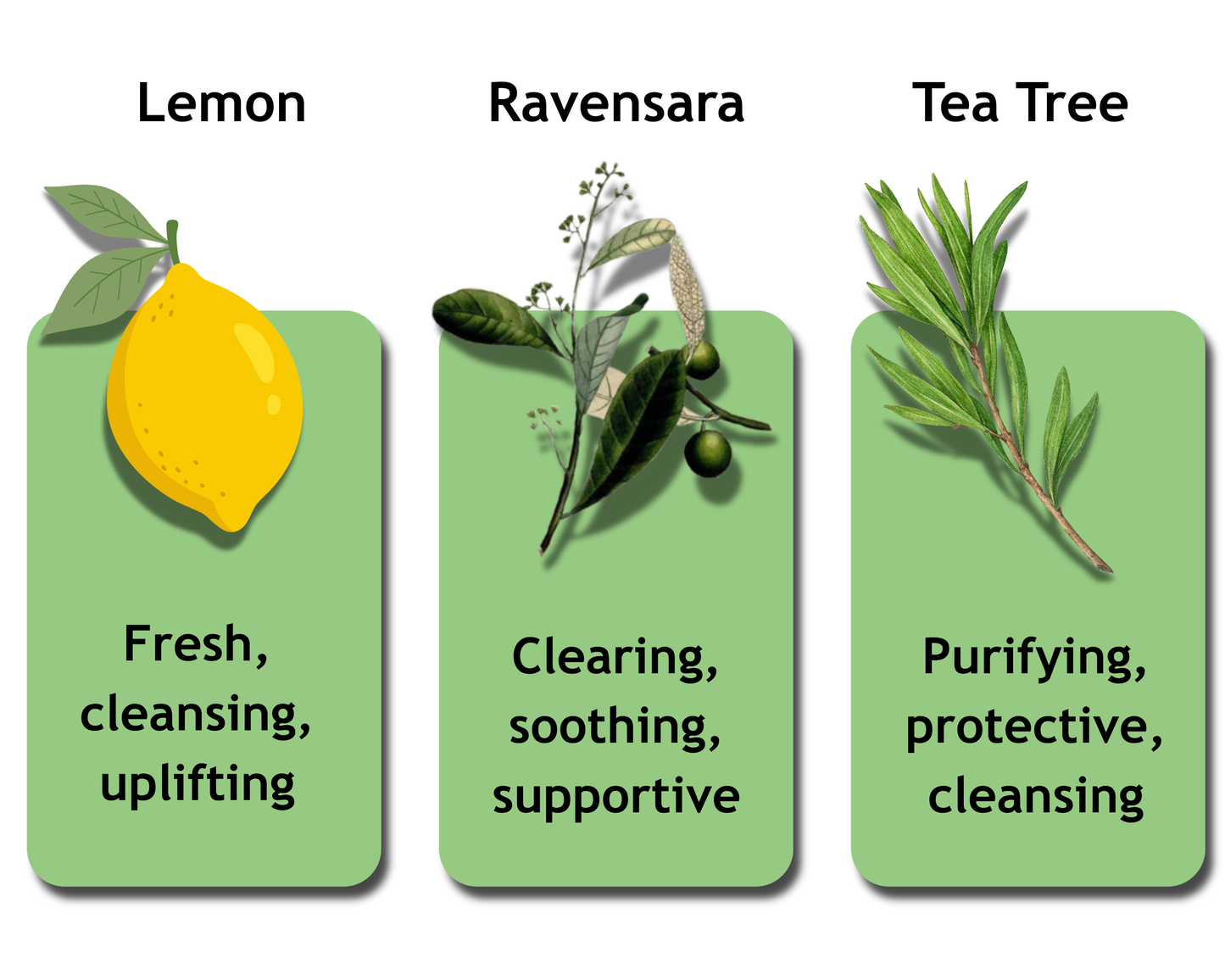 Essential Oil Bundle – Immune Boosting | 3 x 12ml