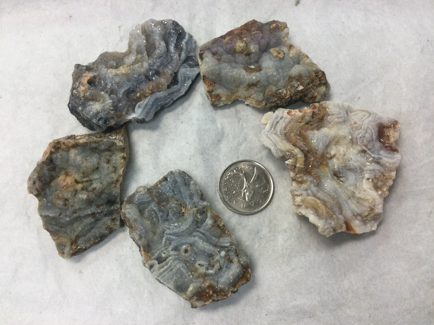 Natural Agate Shell