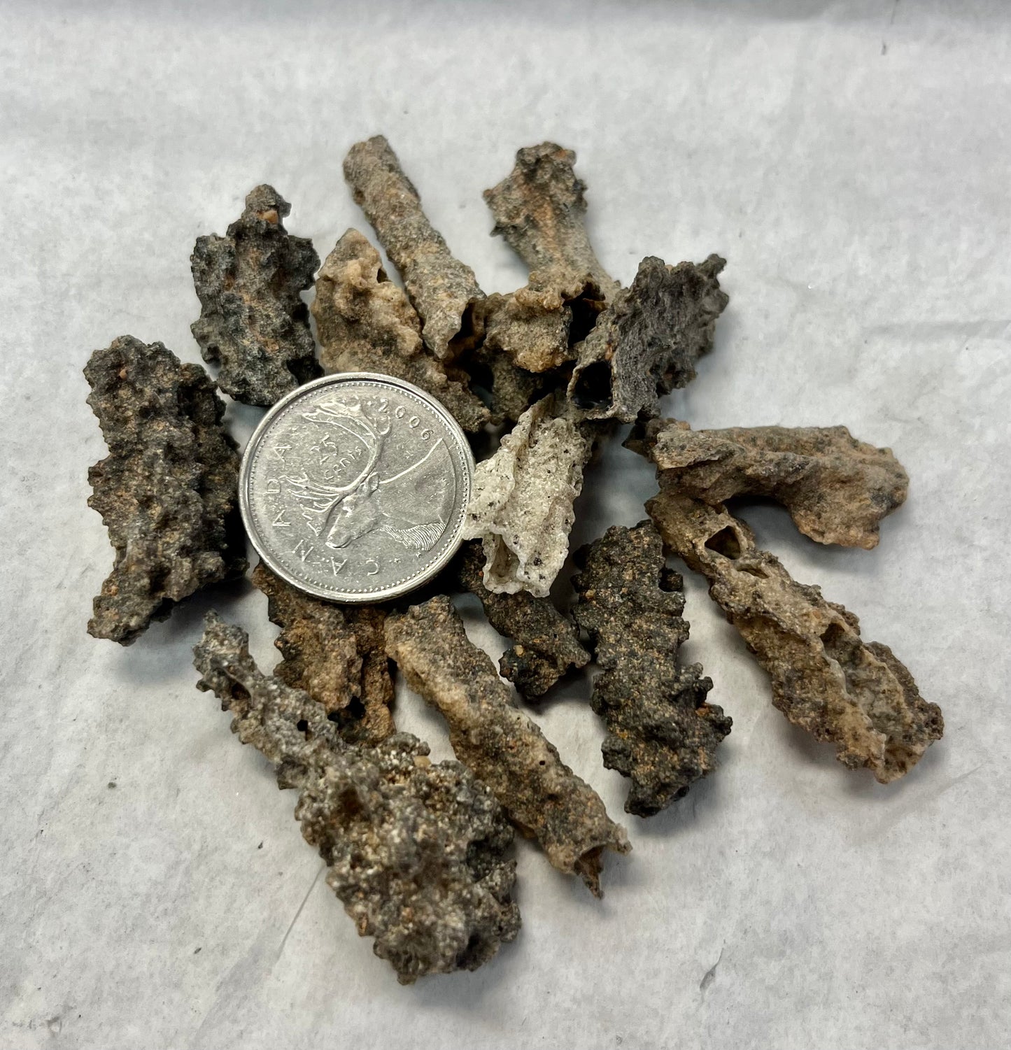 Fulgurite "Fossilized Lightning"