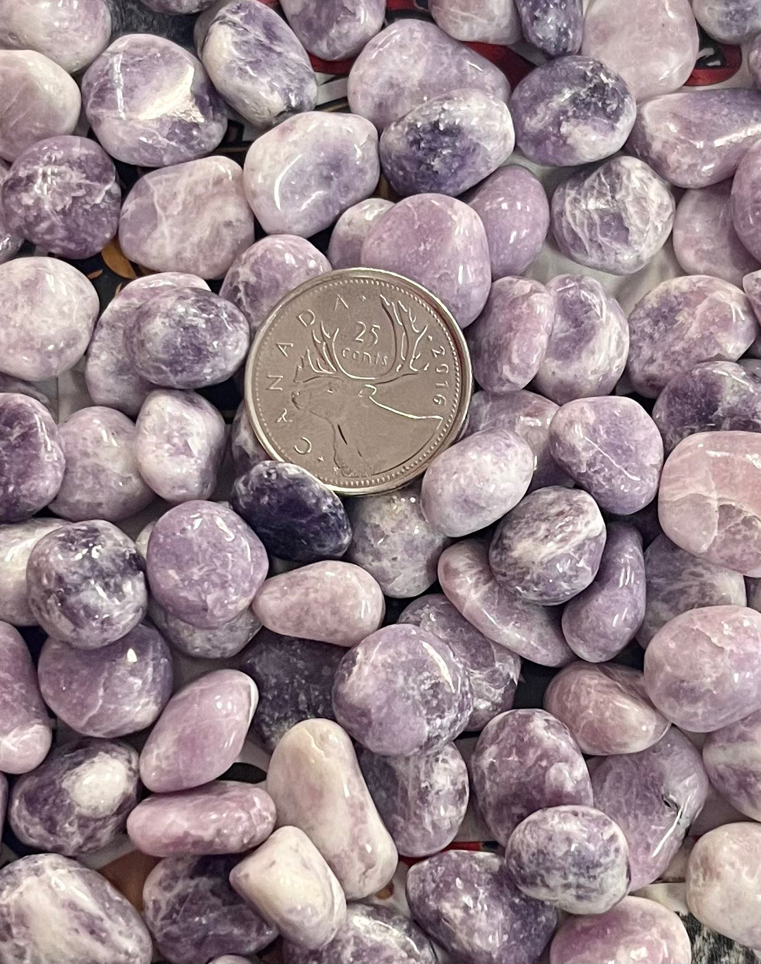 Small Tumbled Lepidolite