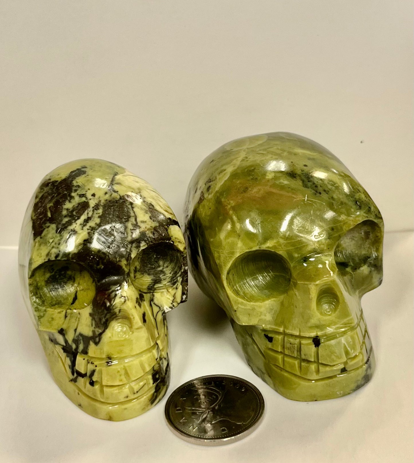 Serpentine Skull