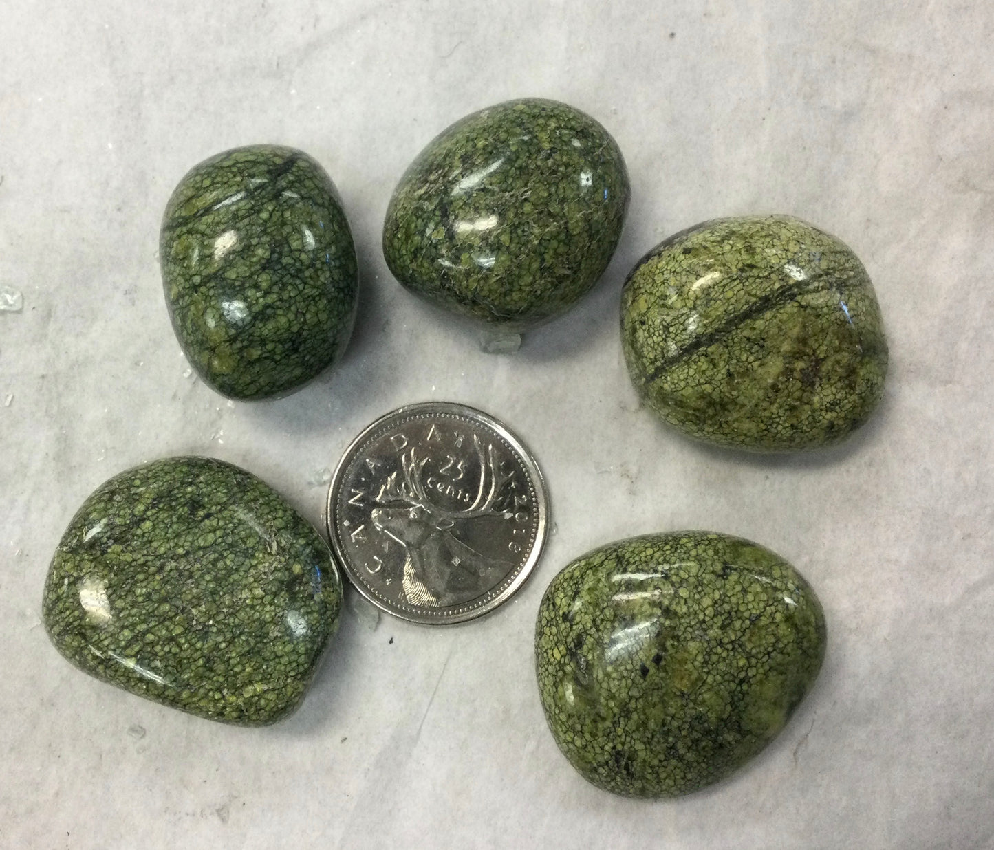 Snakeskin Serpentine, Tumbled