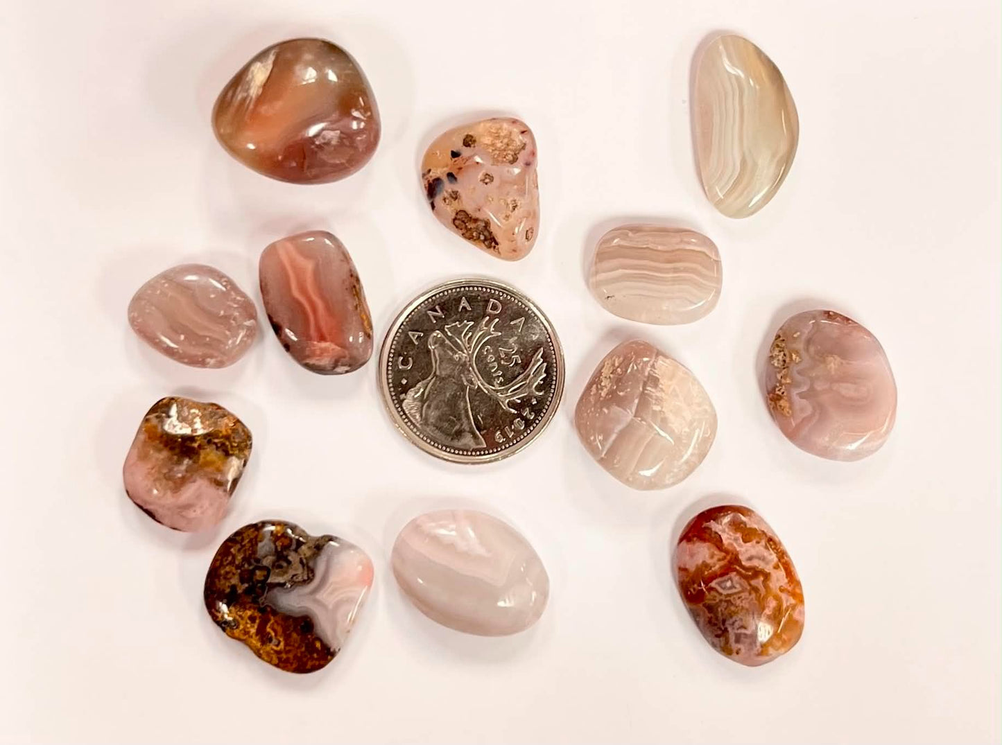 High Grade Botswana Agate Flats (Small)