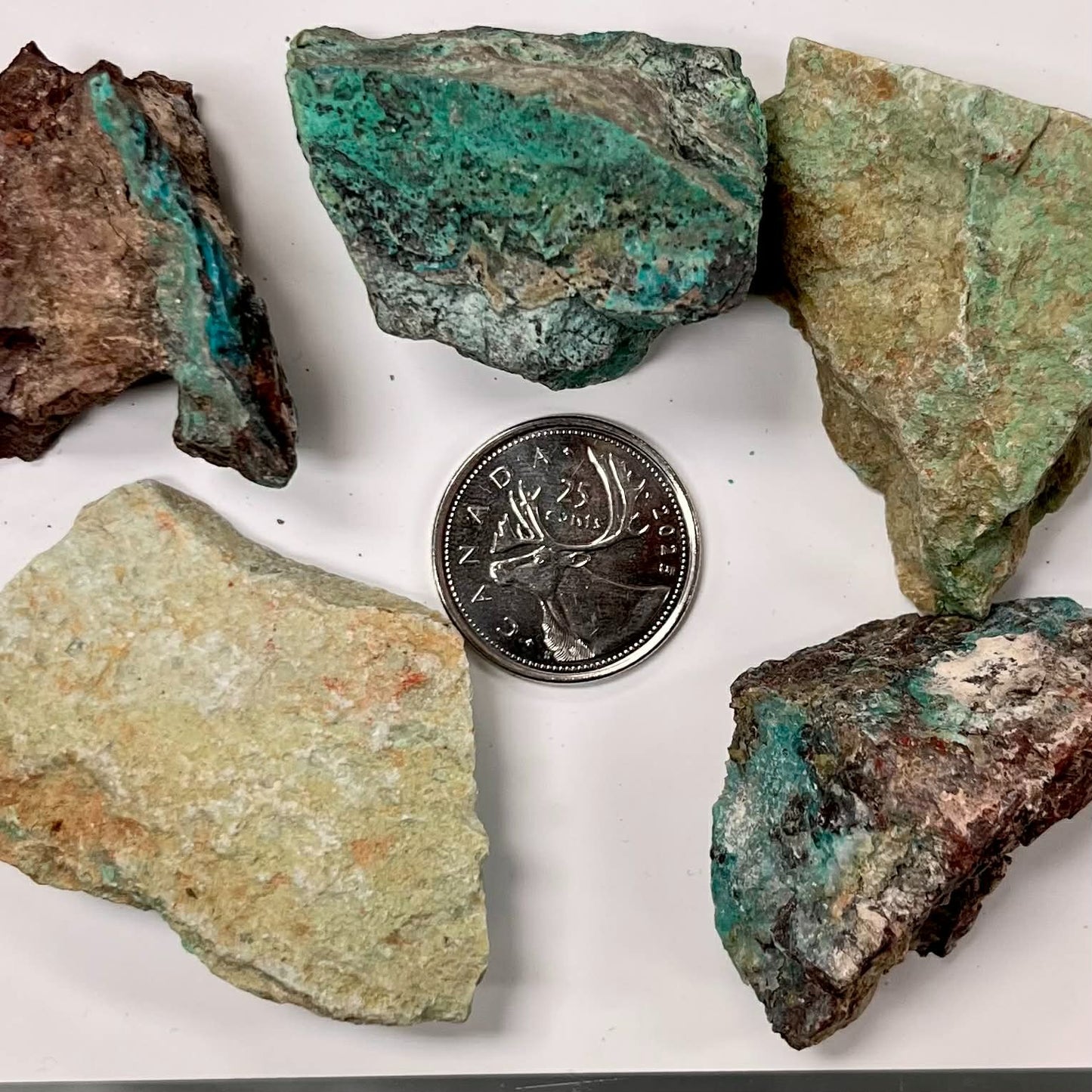 Rough Chrysocolla Pieces (Arizona)