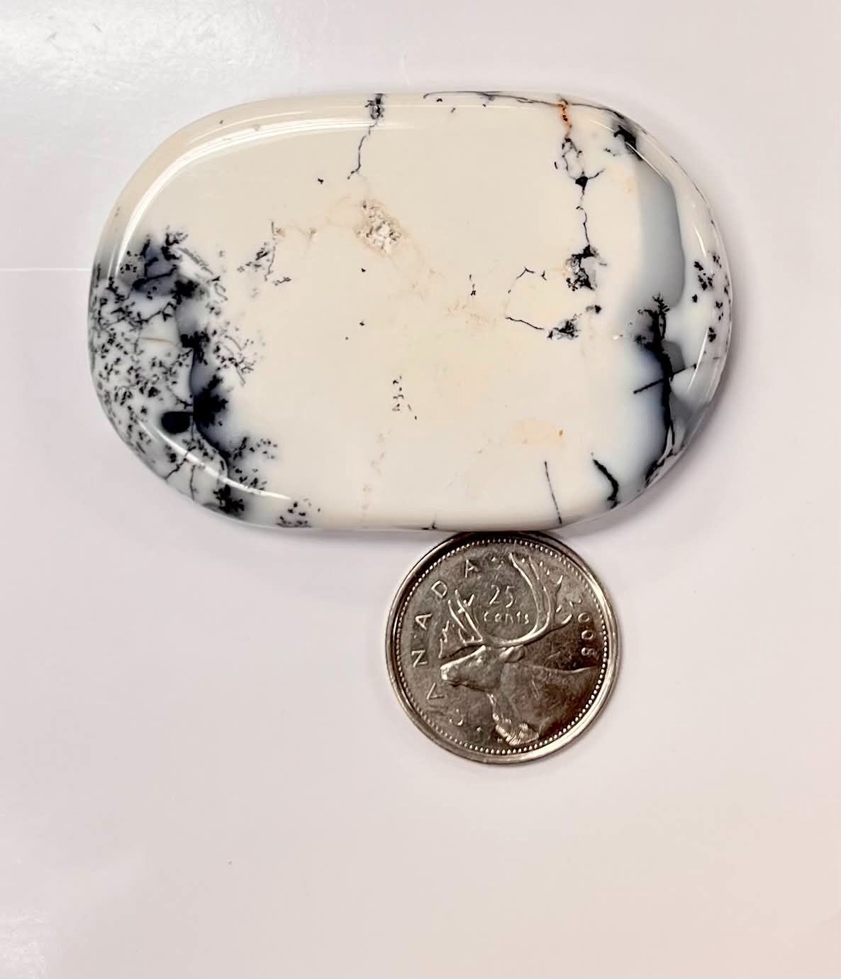 Flat Dendritic Agate Palmstone