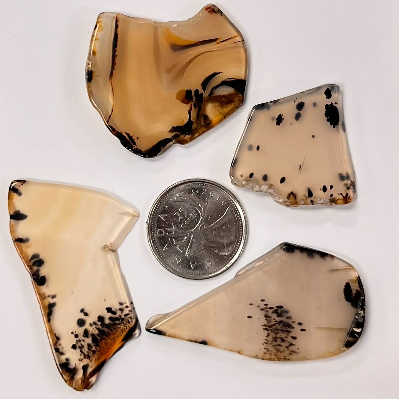 Montana Agate