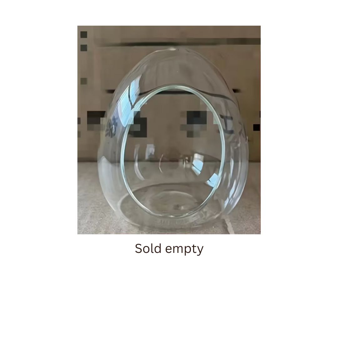 Egg Shaped Terrarium