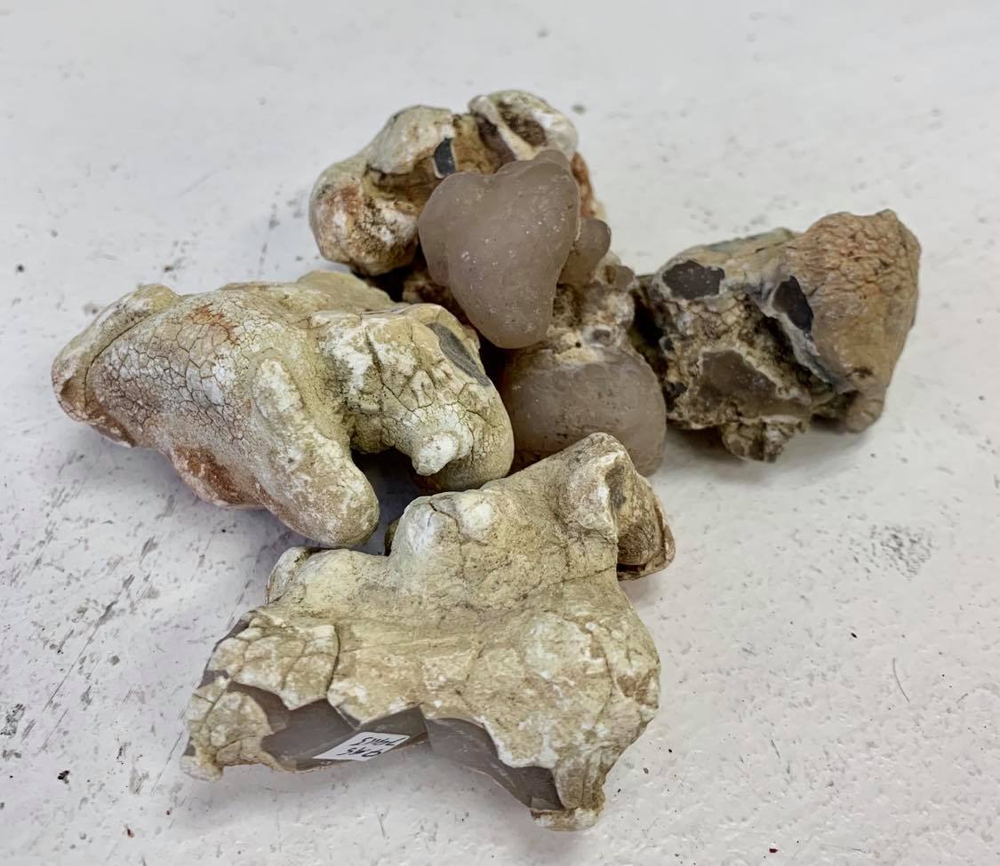 Snakeskin Agate (Large)