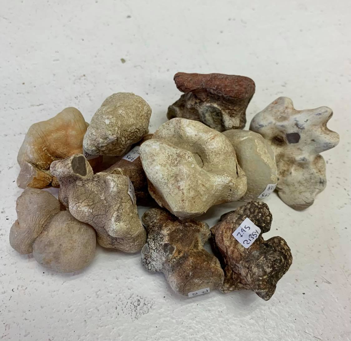 Snakeskin Agate (Medium)