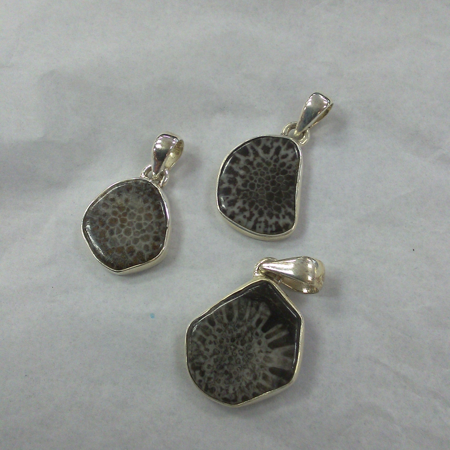 Fossil Bryozoan Pendant